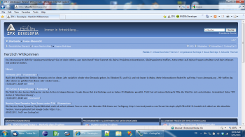IE8 (Vorher)