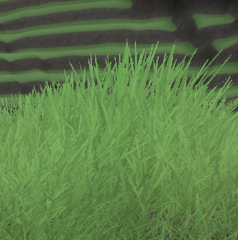 detail1.jpg