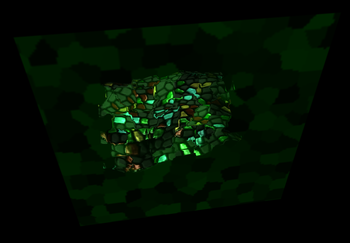 ogl_distortion.png (337.47 KiB) 9184 mal betrachtet Transparent Distortion