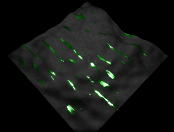 ogl_emerald_stone.png (454.24 KiB) 8984 mal betrachtet Emerald Adern