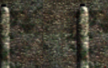 bilinear.jpg
